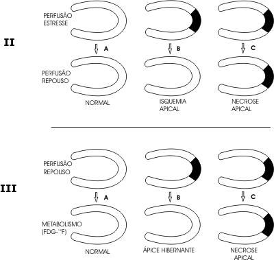 Fig 9 1IIweb