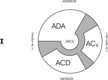 Fig 9 1web